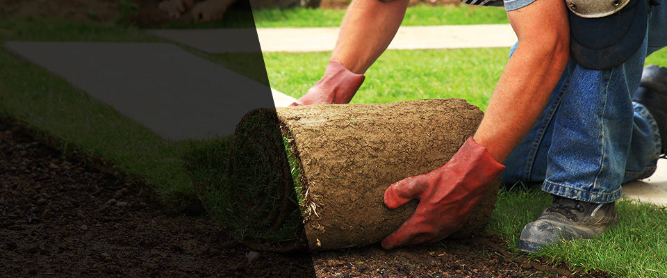 Hackensack Landscapers